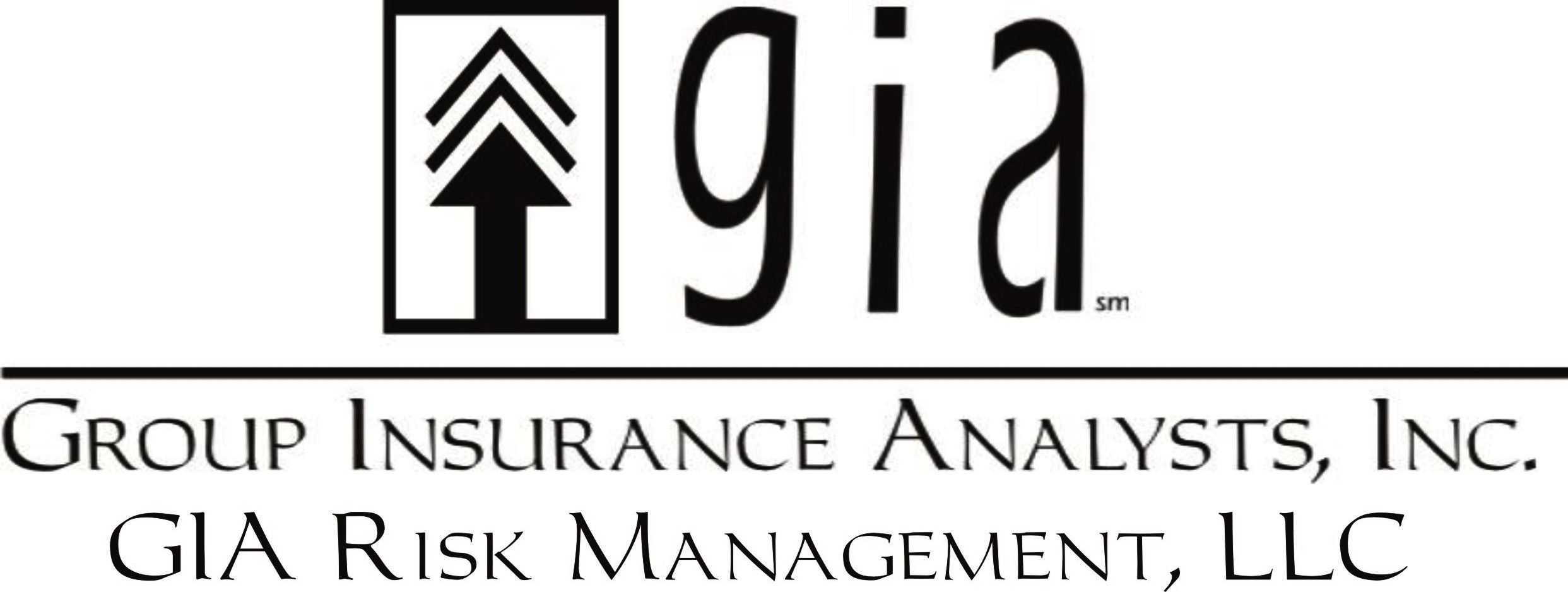 Group Insurance Analysts
